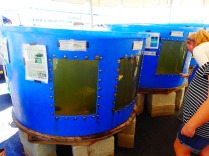Circular blue holding tanks at MarineQuest, St Petersburg, Florida, the greener bench blog